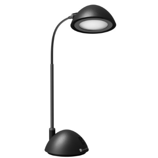 Hastings Home Desk Lamp Adjustable Gooseneck for Reading, Crafts, Writing, Modern Design Light for Home / Office 100729GTZ